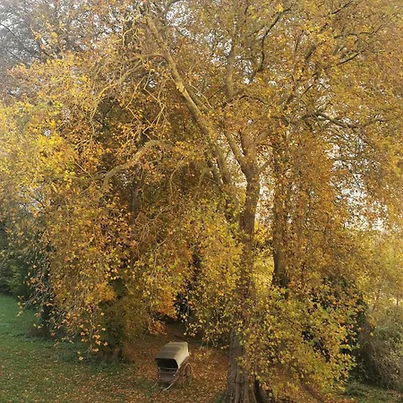 Domaine De Penthievre Blangy-sur-Bresle