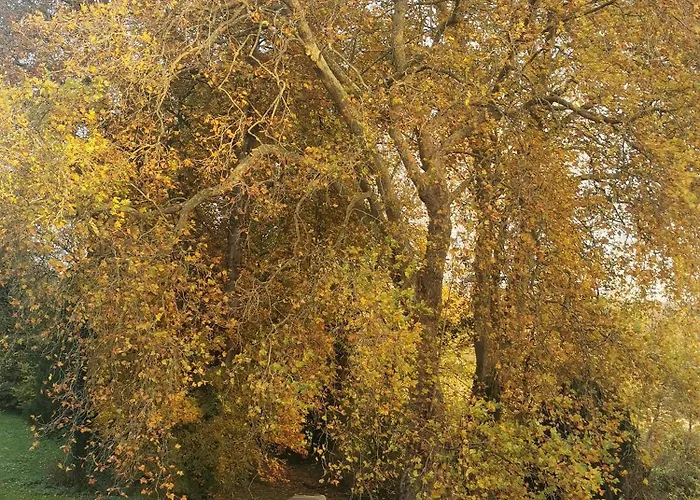 Domaine De Penthièvre Blangy-sur-Bresle